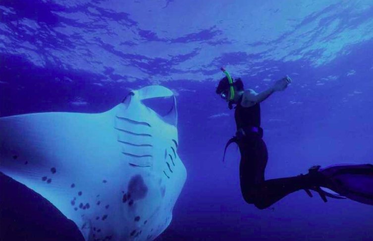 manta point, nusa penida